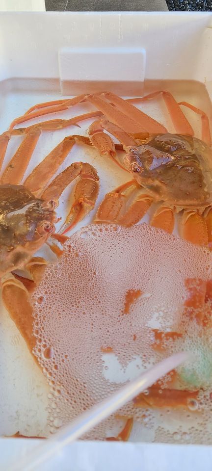 Premium Sea of Japan Matsuba Crab Course (Reservations accepted for 4 or more people)