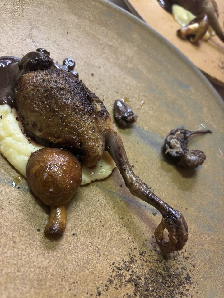 graineおまかせコース