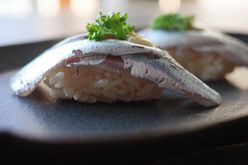 Soukai (蒼海) ~Omakase Nigiri Standard~