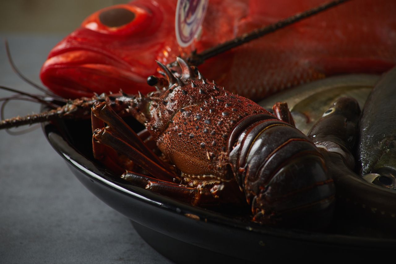 【OPEN特典】伊勢海老グリルのショートコース＋乾杯スパークリング