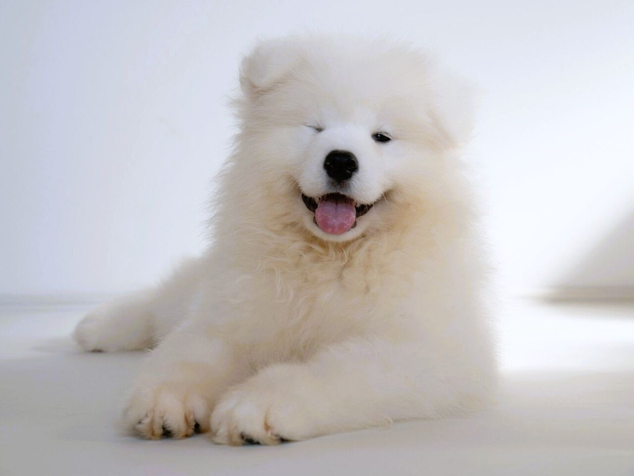 Seat only reservation