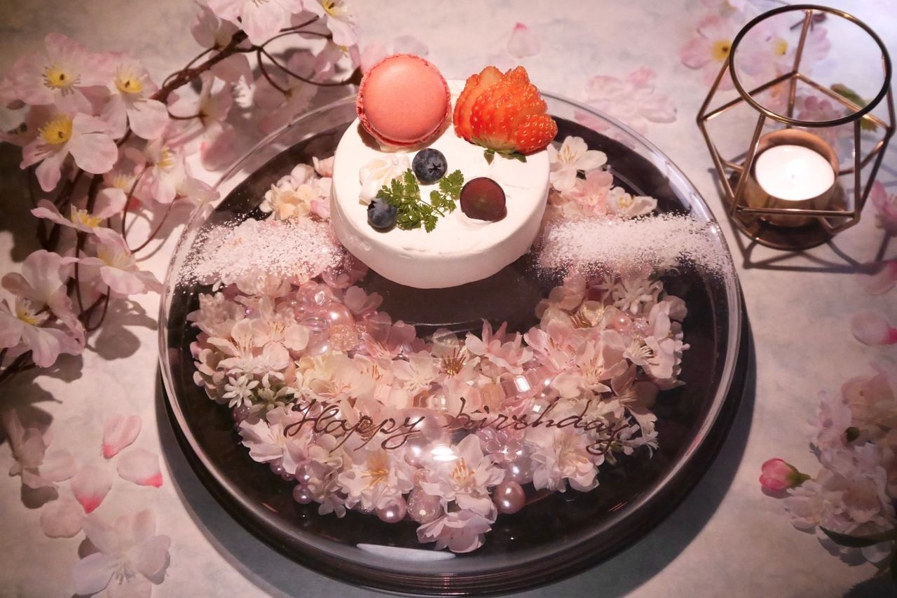 【3월 한정_특별 코스】파랑의 오리지널 칵테일 첨부 소중한 사람에게 주는 “31일간 한정”특별 탄생 색 케이크” 첨부 코스~유메자쿠라~