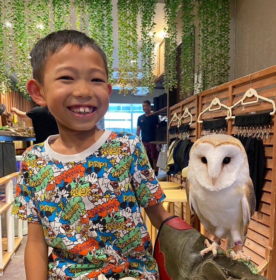 【60分小学生以下4～12歳】 触れ合い＋フクロウ乗せ体験＋1オーダー制