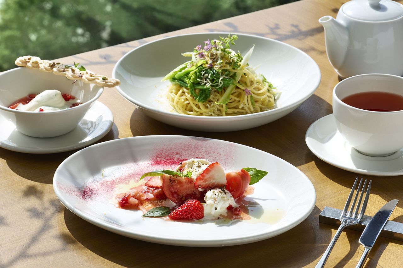 Prefix Lunch Set 