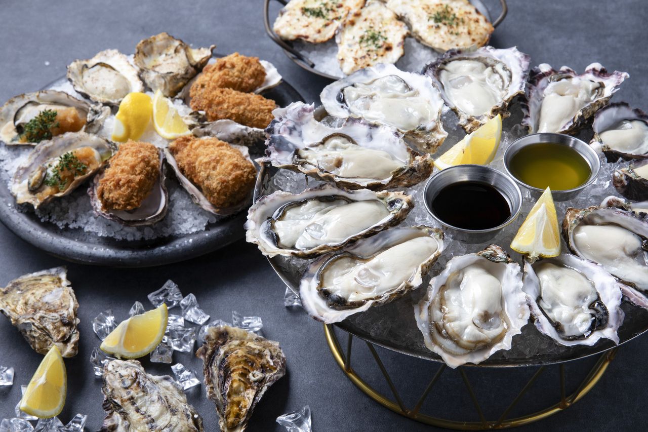 Official website discount benefits ■Oyster full course (with all-you-can-drink)■  *All-you-can-drink reservations are accepted for parties of 3 or more