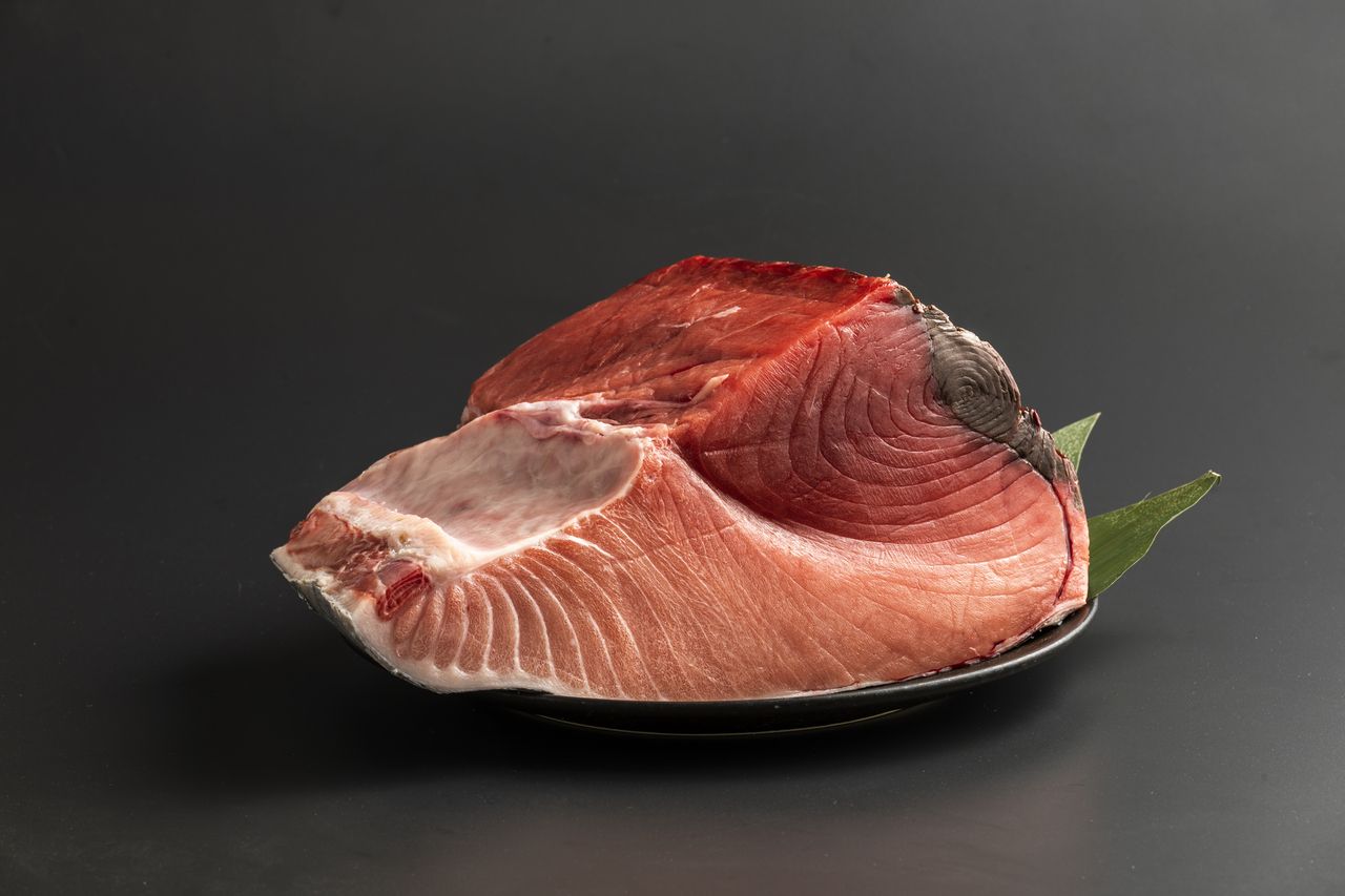  Regular course featuring tuna and seasonal Japanese cuisine: 9350 yen (for 2 or more people)