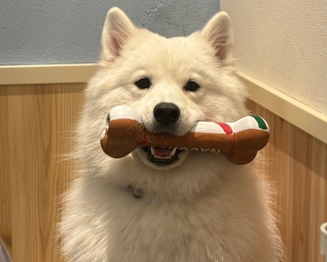 ≪土日祝≫通常チケット（50分）