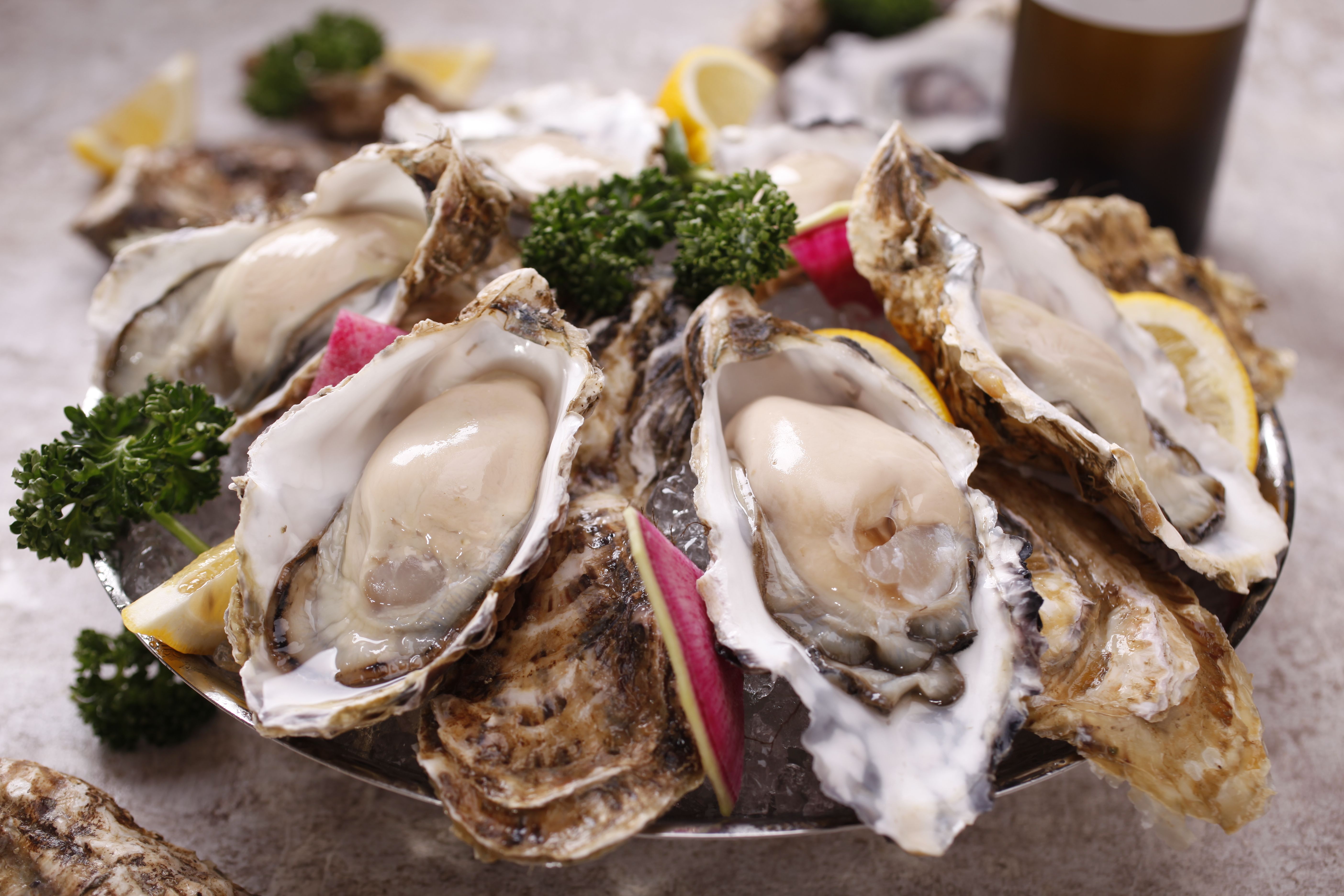 Oyster Bar Wharf