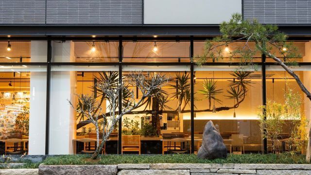 ryu no hige by MITATE