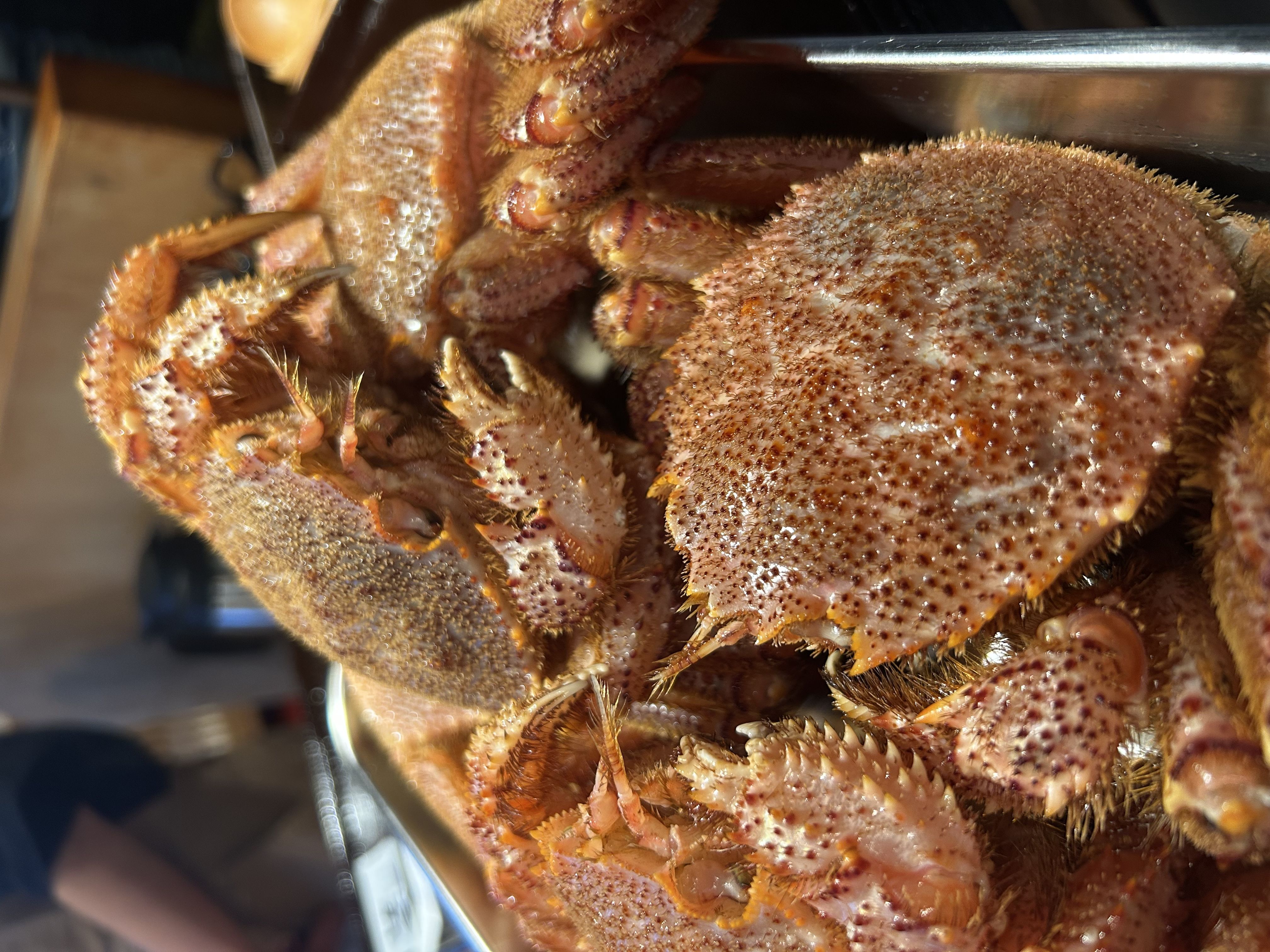 Ate to Obanzai to Tokidoki oden