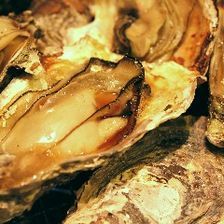 【土・日・祝日限定】焼き牡蠣・蒸し牡蠣100分食べ放題