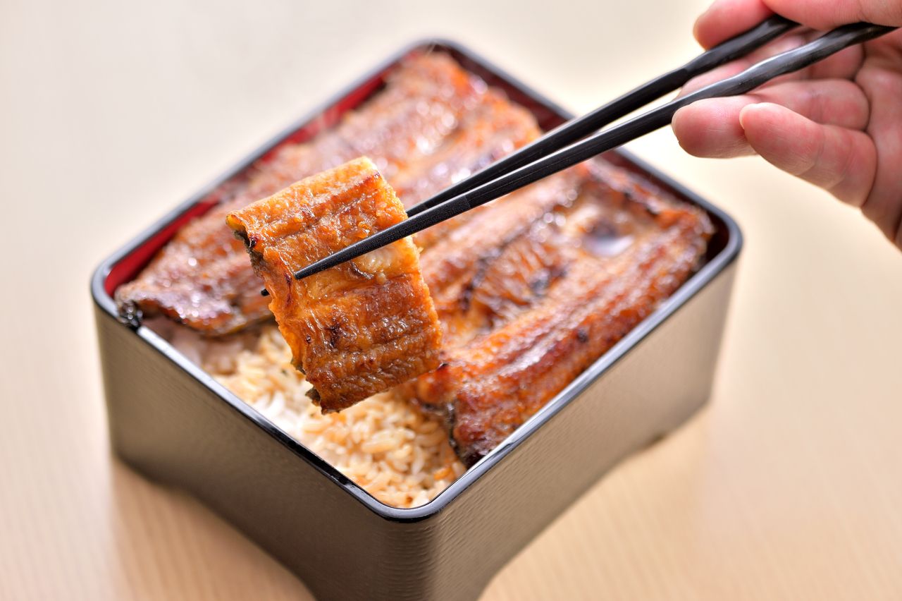 Unagi-ju set (extreme)