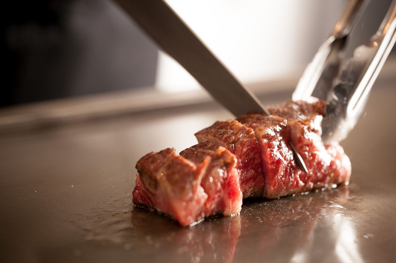 Vin樹亭　スペシャルコース