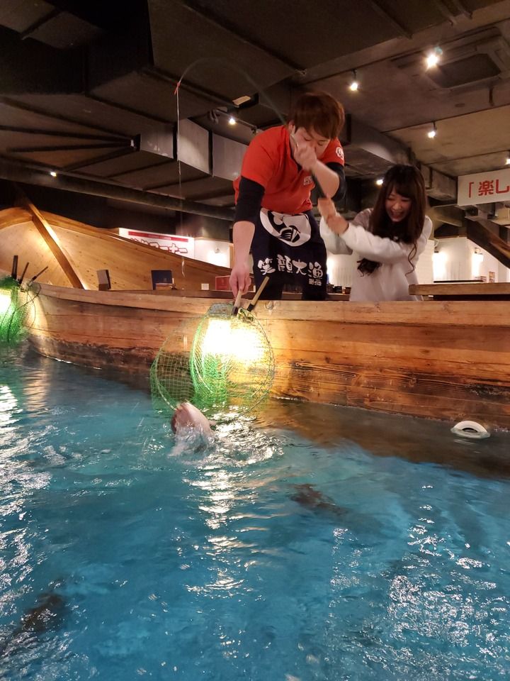 歓送迎の釣り込み大漁コース