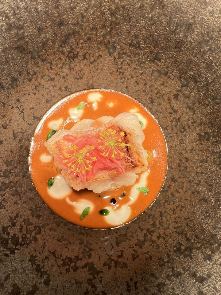 【ランチ】お任せコース