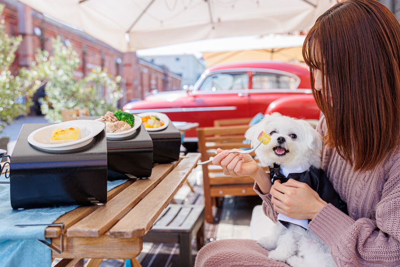 Dog Menu — Terrace Seats Only: Famille précieuse