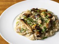 【Dinner Course Pieno】Seasonal 5 Course with 1 drink! 