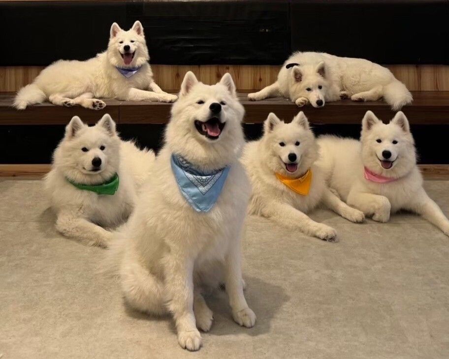  Regular ticket (50 minutes)