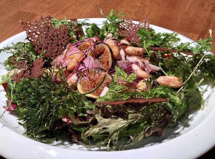 Special Dinner Course - Recommended plan with specialty salad