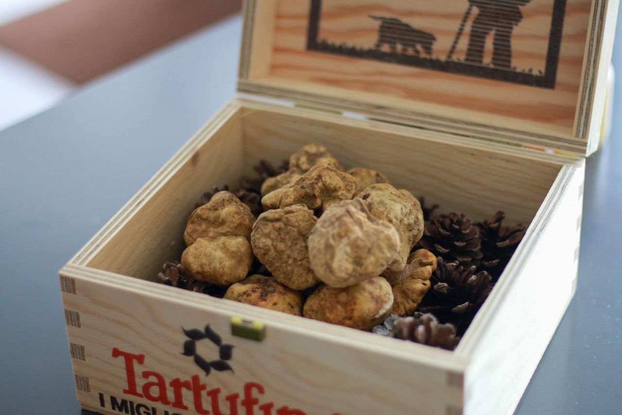 白松露菜肴及佐餐