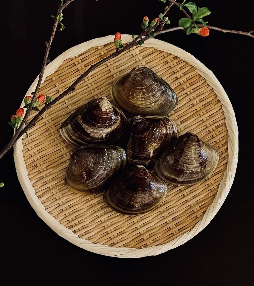 【カウンター】おまかせコース「春の代官」　握り8~10貫／料理4品ほど（春の貝類・桜海老・ホタルイカなど）