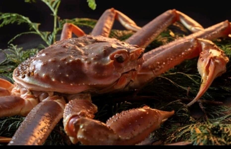 Abalone and Special Live Matsuba Crab Course (Winter)(Price shown is for 1 person)