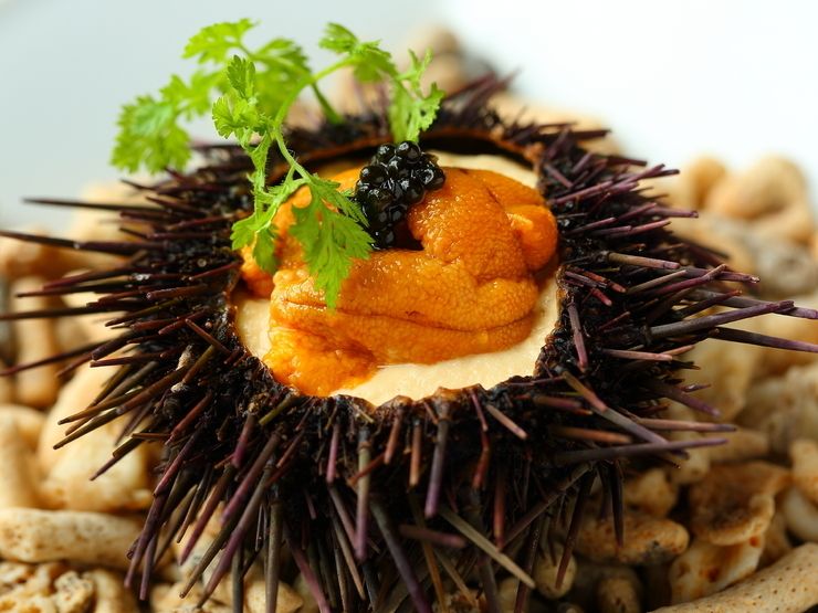 【HP】当店ランチ人気NO 1プラン！～全6品LunchPlan～生雲丹プリン・焼牡蠣・生牡蠣など！BELON会員様は更にお得に！