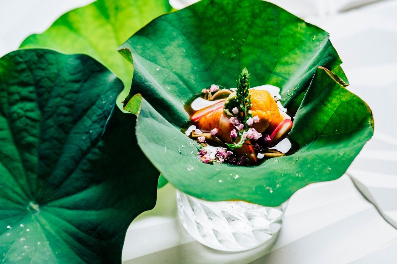 [Short course with drinks] A light course where you can enjoy drinks as well. *No meal or dessert included