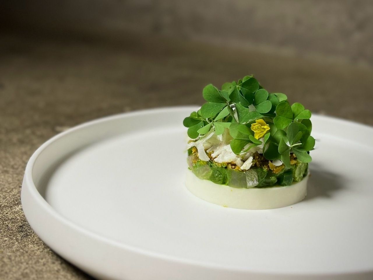 Lunch Course (Saturday only)