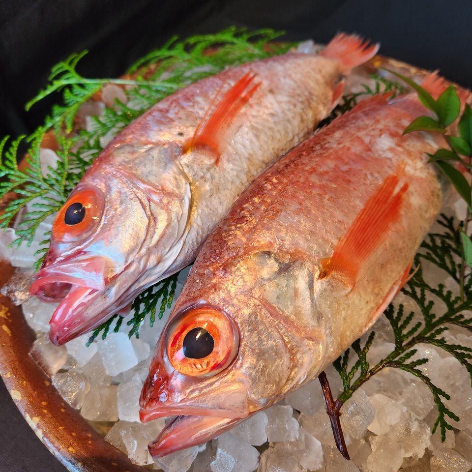 【황색】「목구리 소금구이」「천연암굴」「9두룡 은어토 냄비 밥」「에치고규와 여름야채 증편찜」등～전8품～