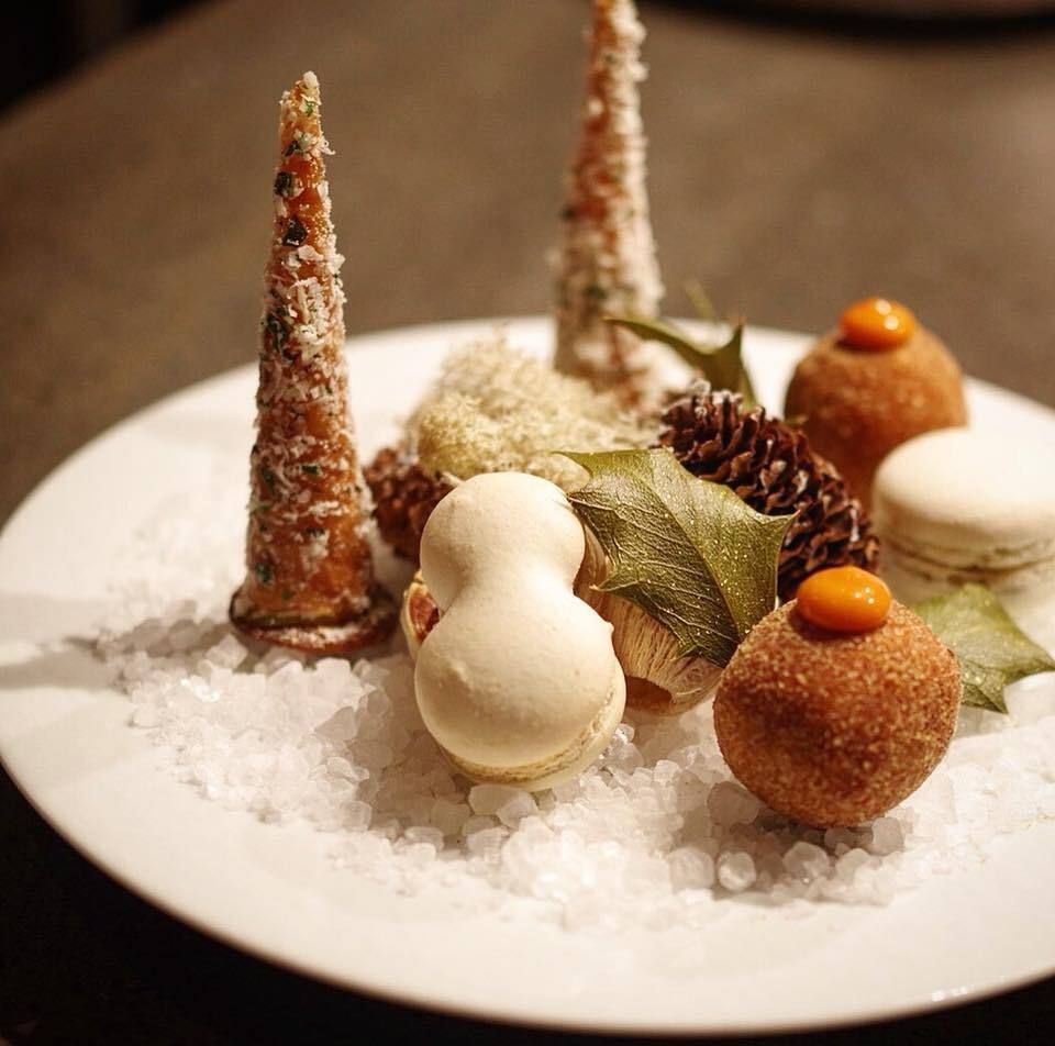 Noel ノエルコース2025