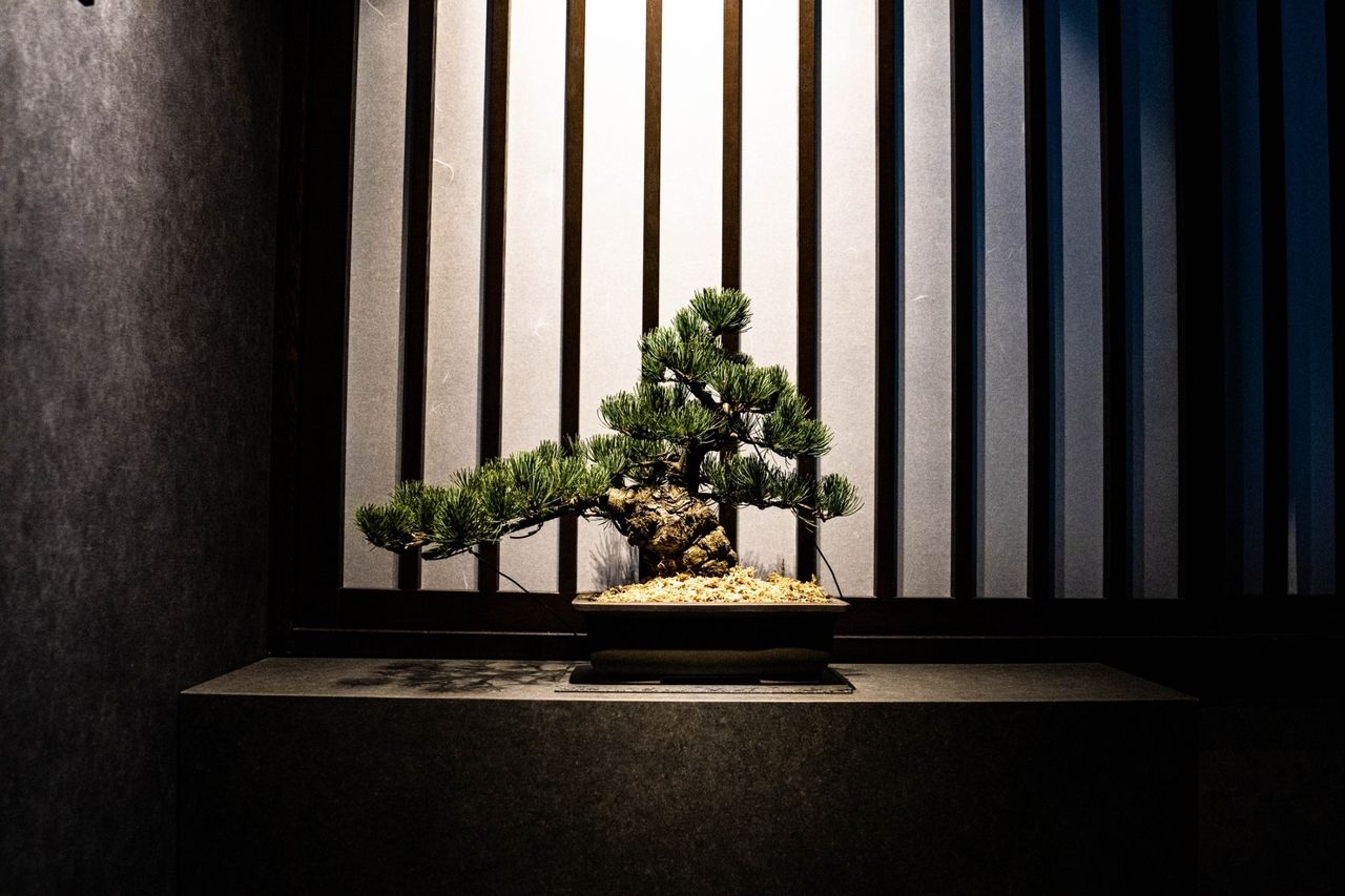 よいん肉尽くし