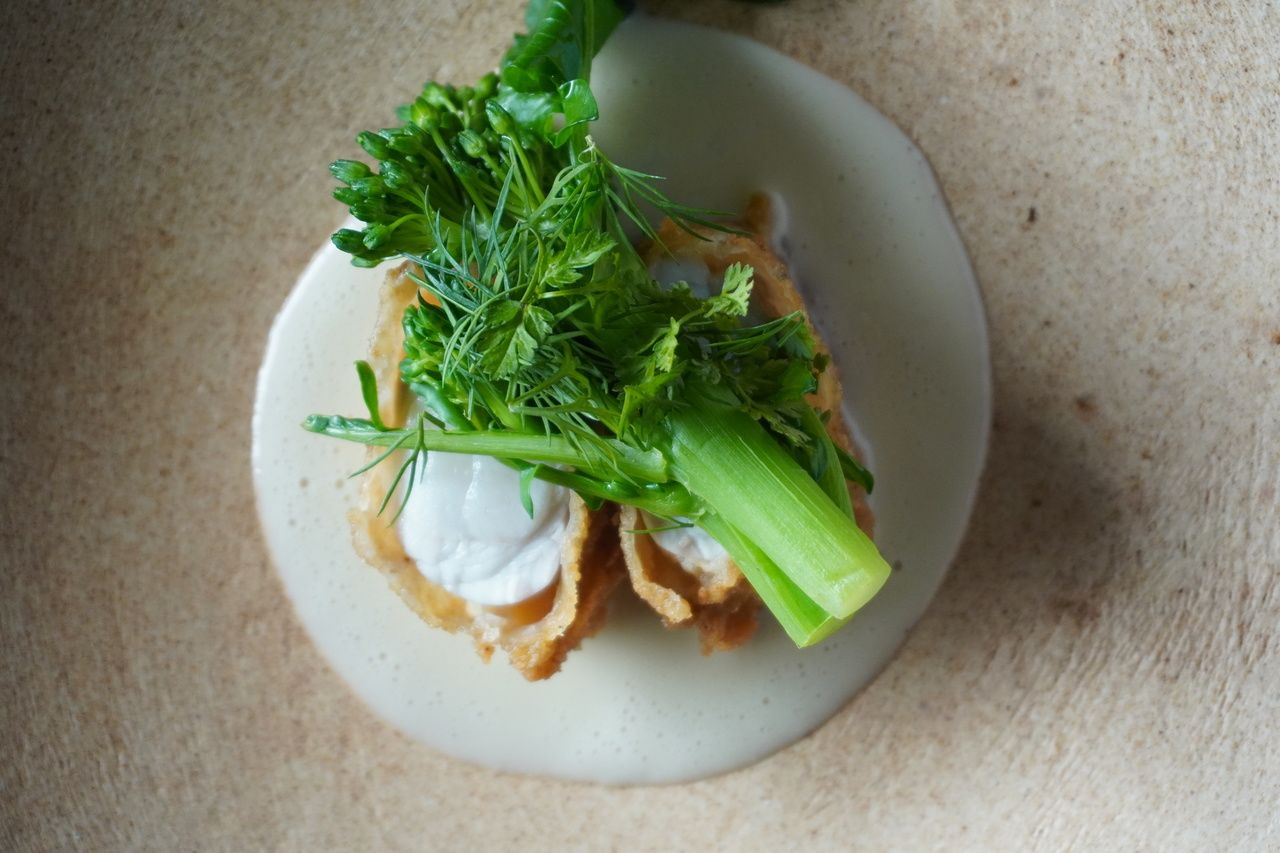 ふぐのコース＋アルコールペアリング