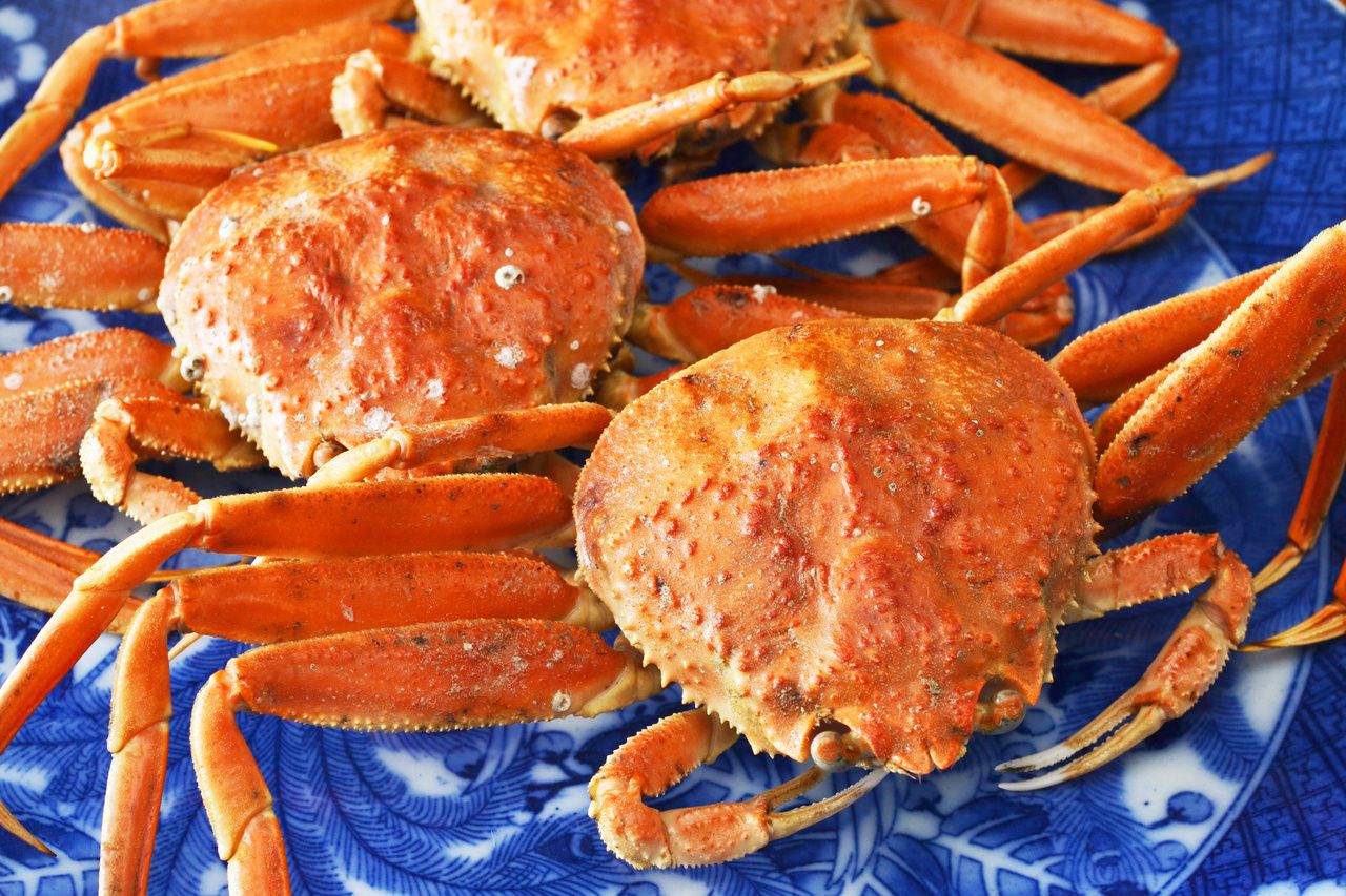 福井県産蟹土鍋ごはん膳