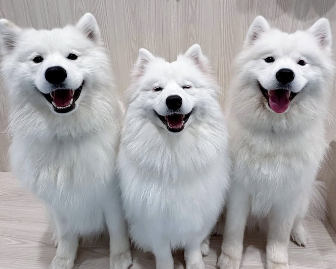 ≪冬休み期間 ≫通常チケット（50分）