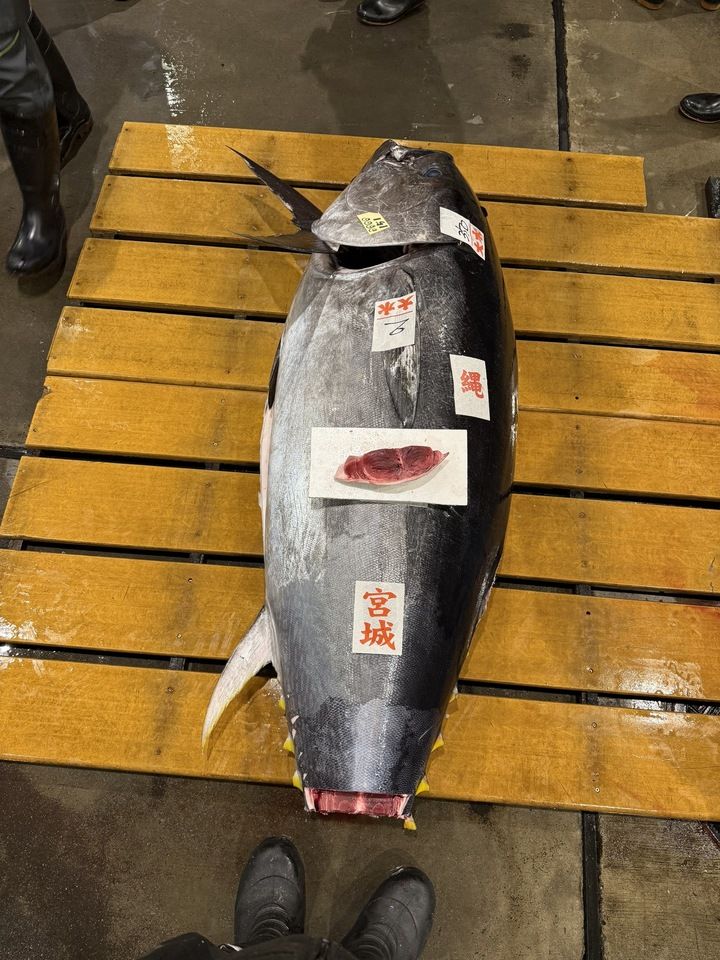 《Value Course B》Enjoy 6 a la carte dishes, our famous tower-shaped sushi, and 8 pieces of nigiri sushi at your leisure ◎