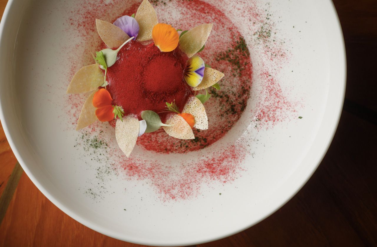 【Lunch 4- Course】Seasonal Lunch Course  'Together' 