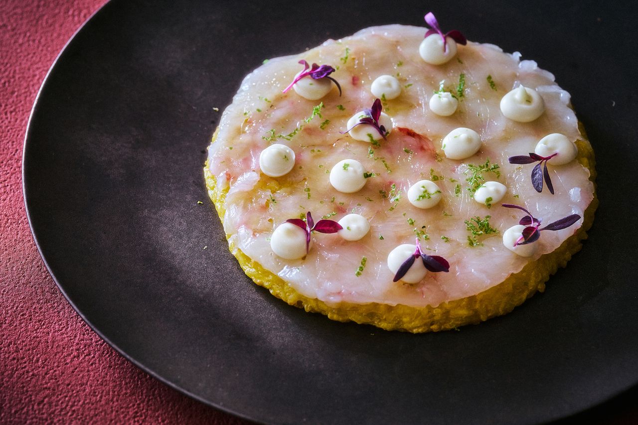 [Web-only plan for members] Lunch Course (4 dishes)