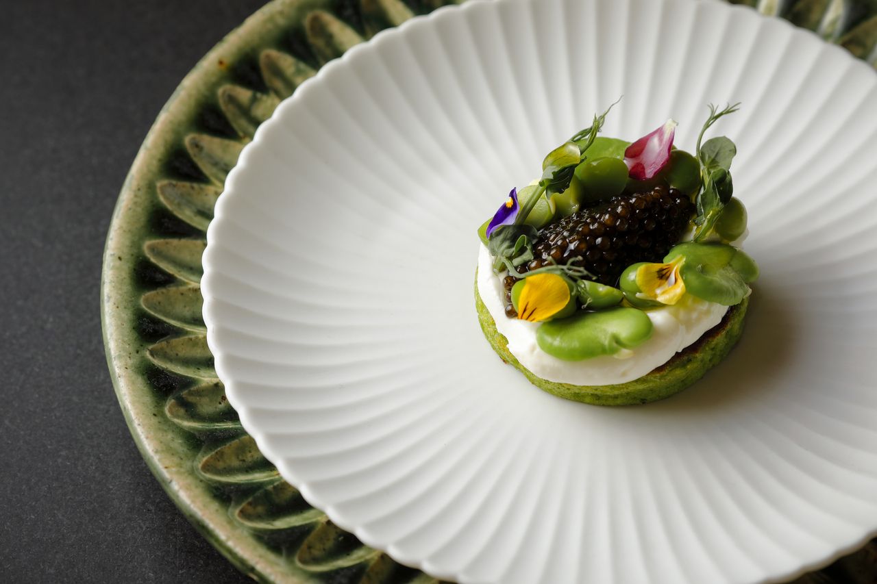 八坂 "桜" ディナーコース 