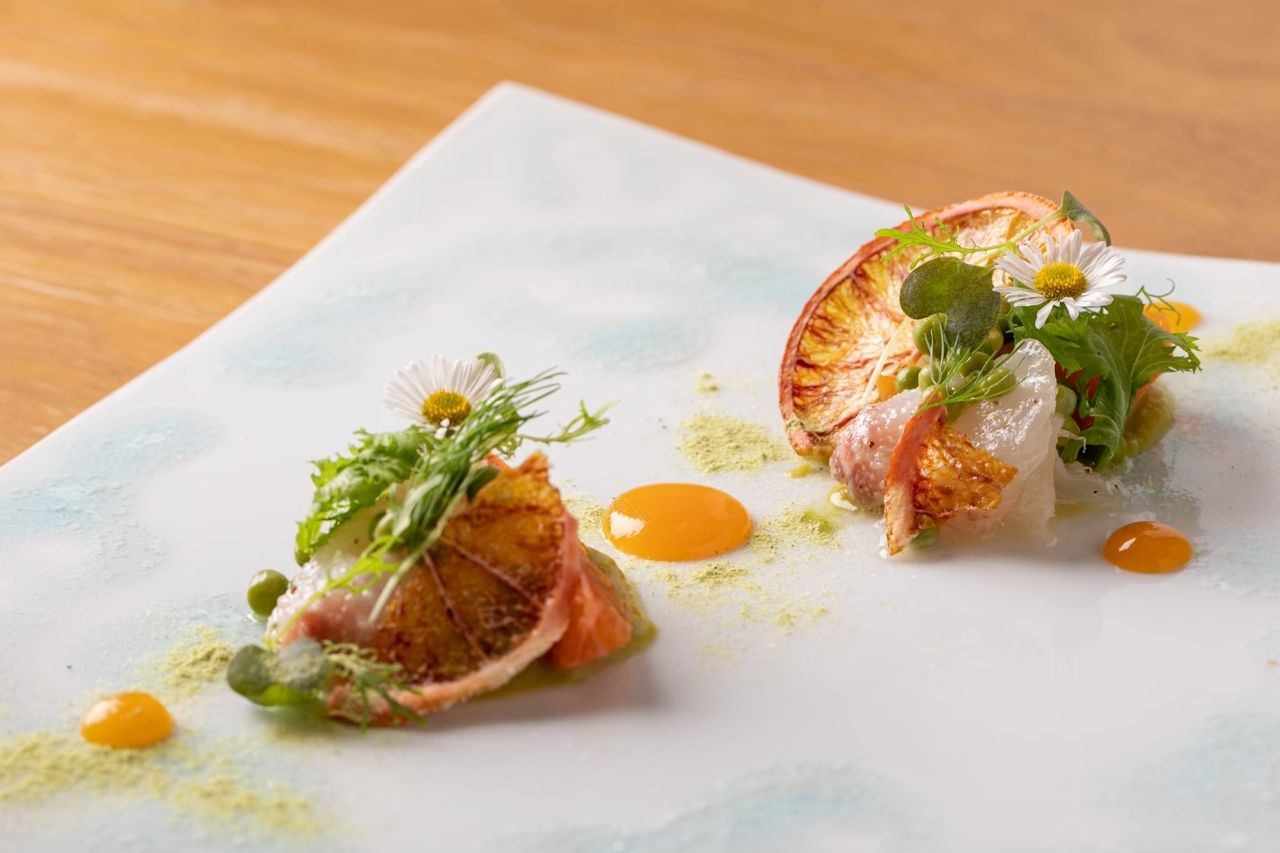 komfortaのランチコース