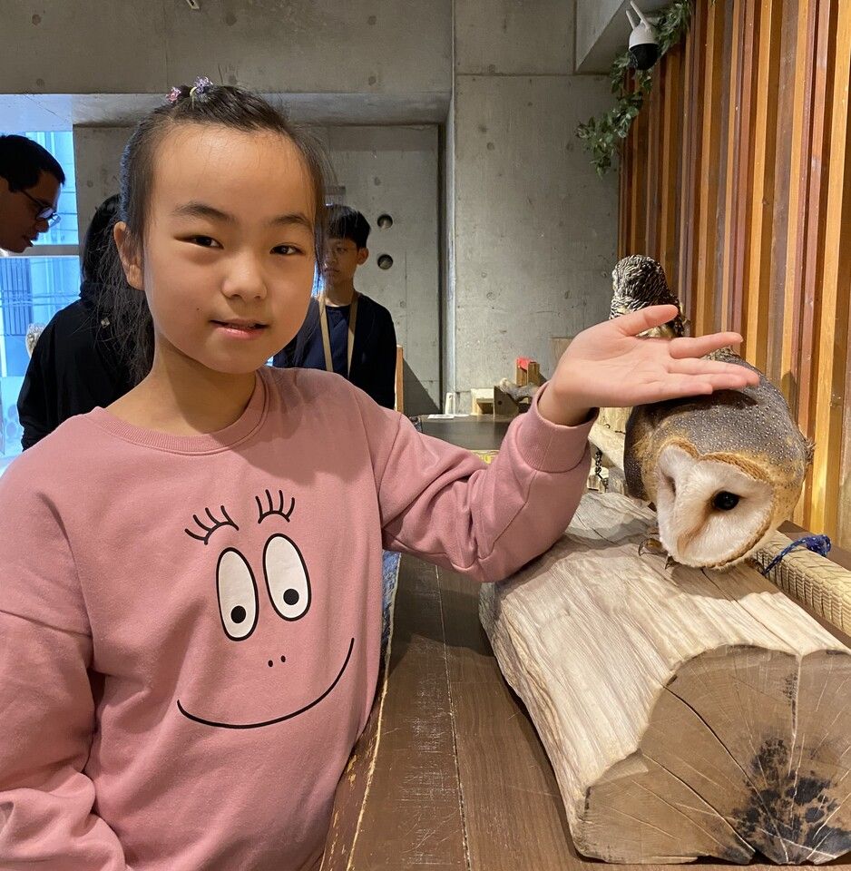 【60分小学生以下4～12歳】 触れ合いのみ＋1オーダー制