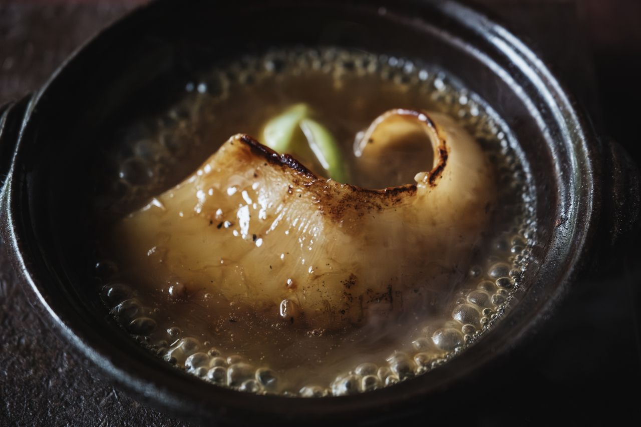 [Dinner] April 2026 - June 2026: Seasonal Chef's Choice Modern Chinese Course with Grilled Shark Fin