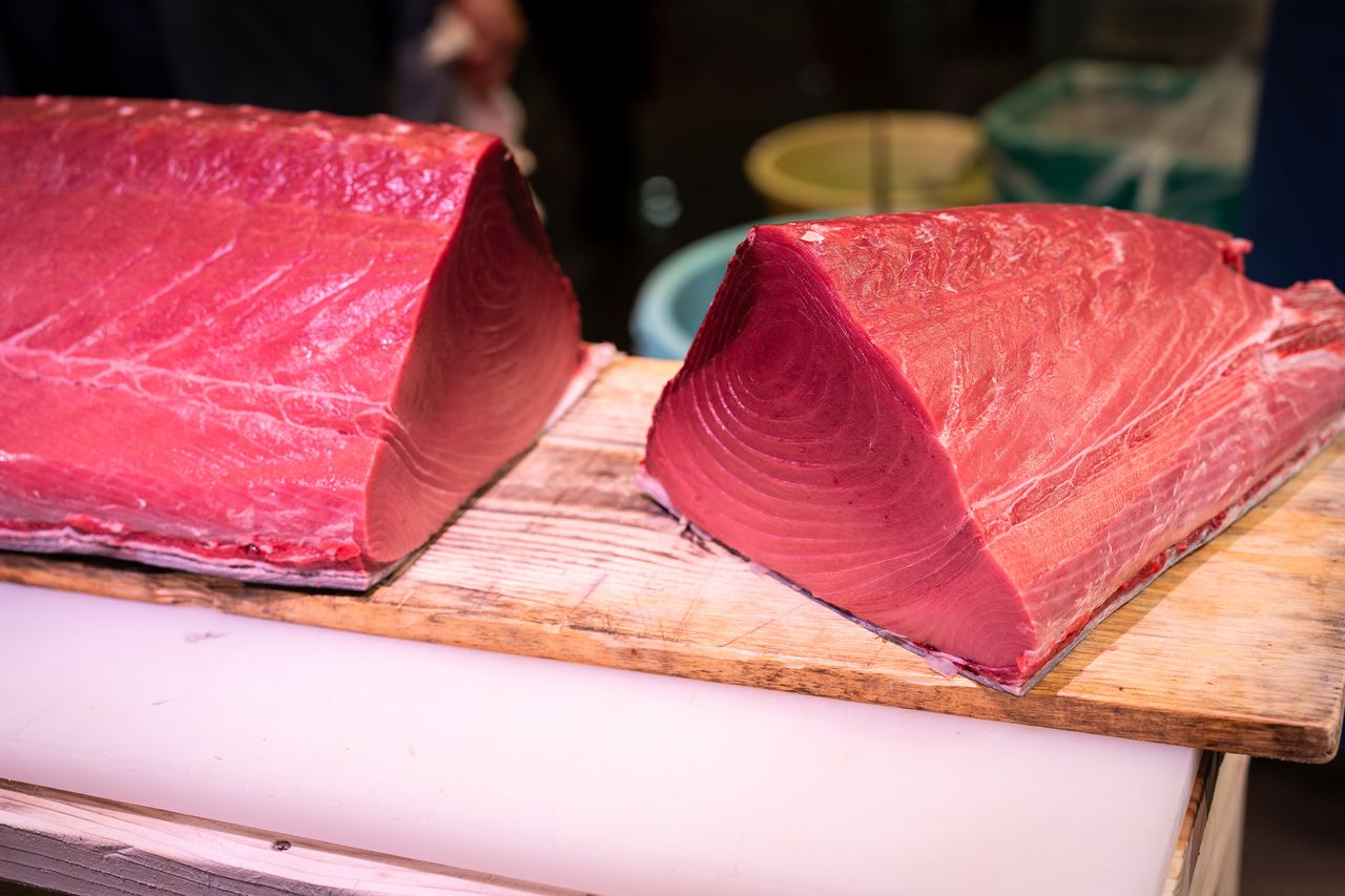 Thunfisch-Futomaki