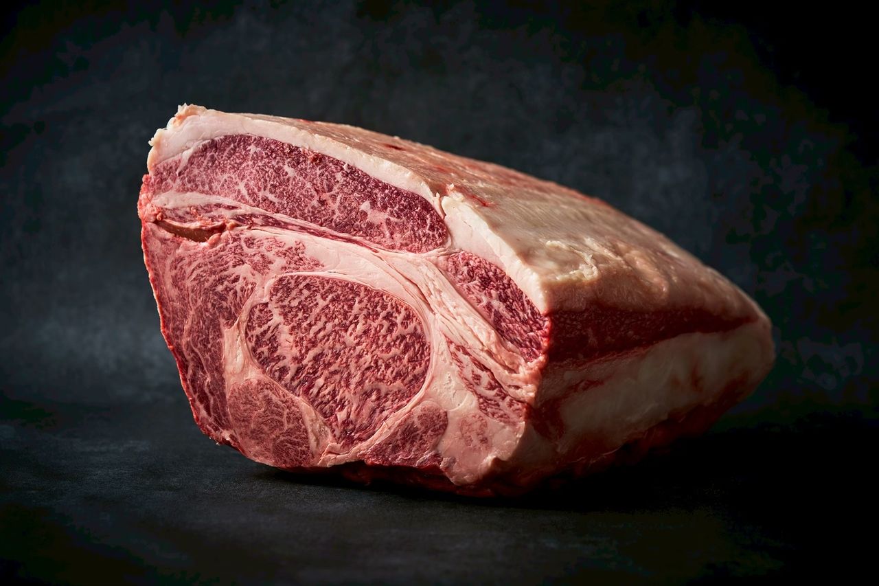 Grilled meat course (regular)