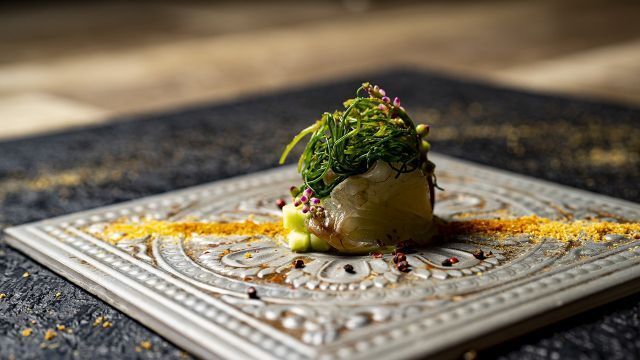 [専用]きれいになる!新和食 Amazon | ニチドウ 金魚膳 増体・色揚げ 浮上性 1kg